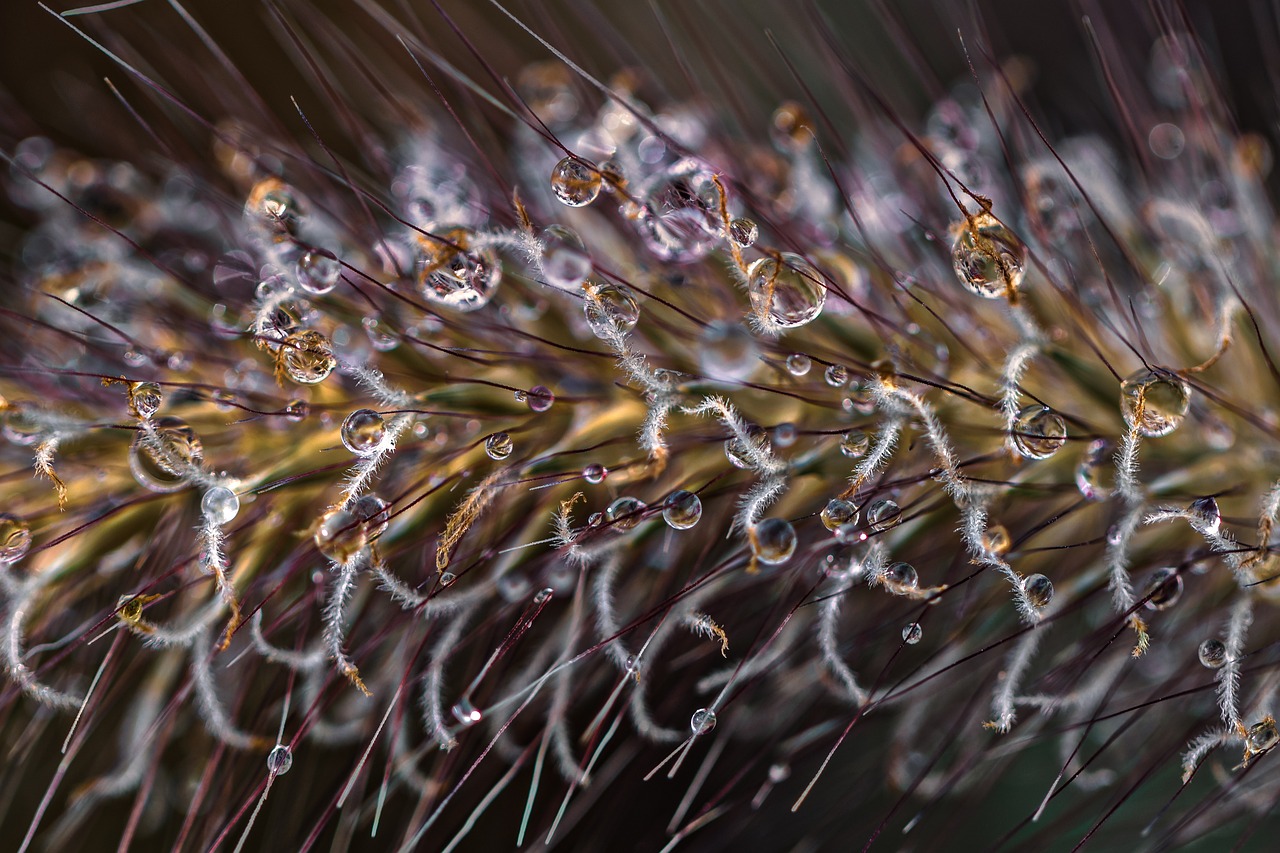 暖风细雨 第66页