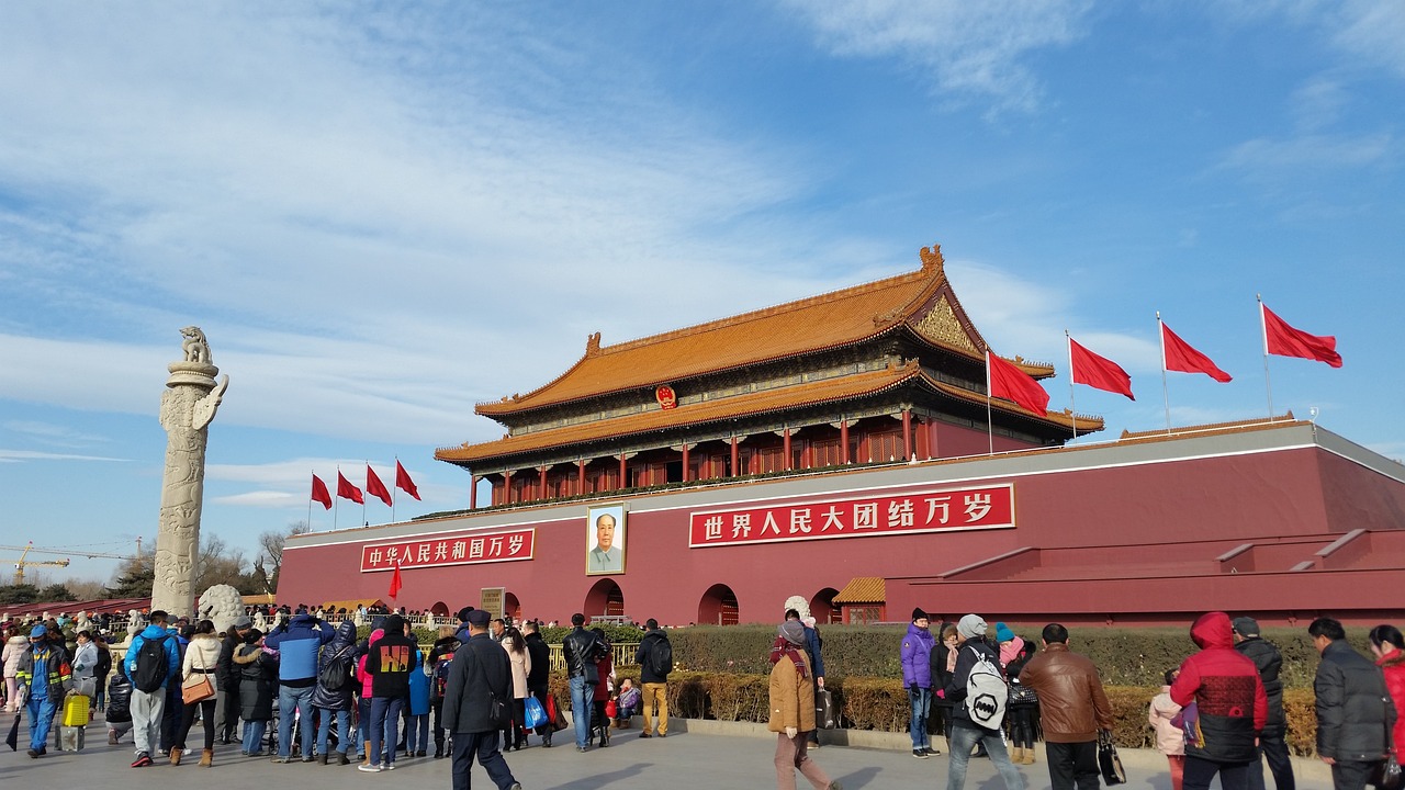 中国女排，荣耀与坚韧的象征，铸就传奇传奇之路