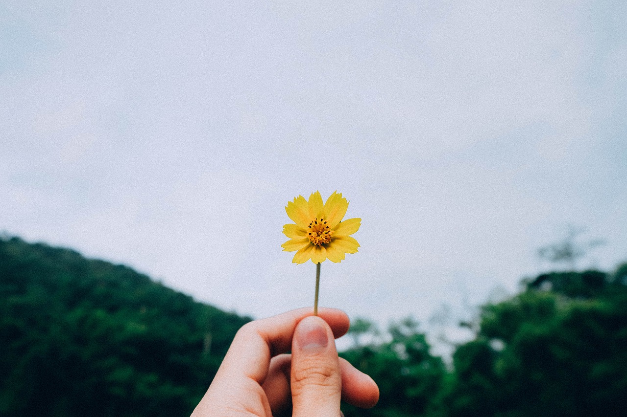 最新小学生满分作文，探索自然与生活的奥秘之美