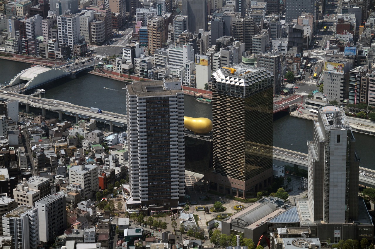 2024年11月 第21页