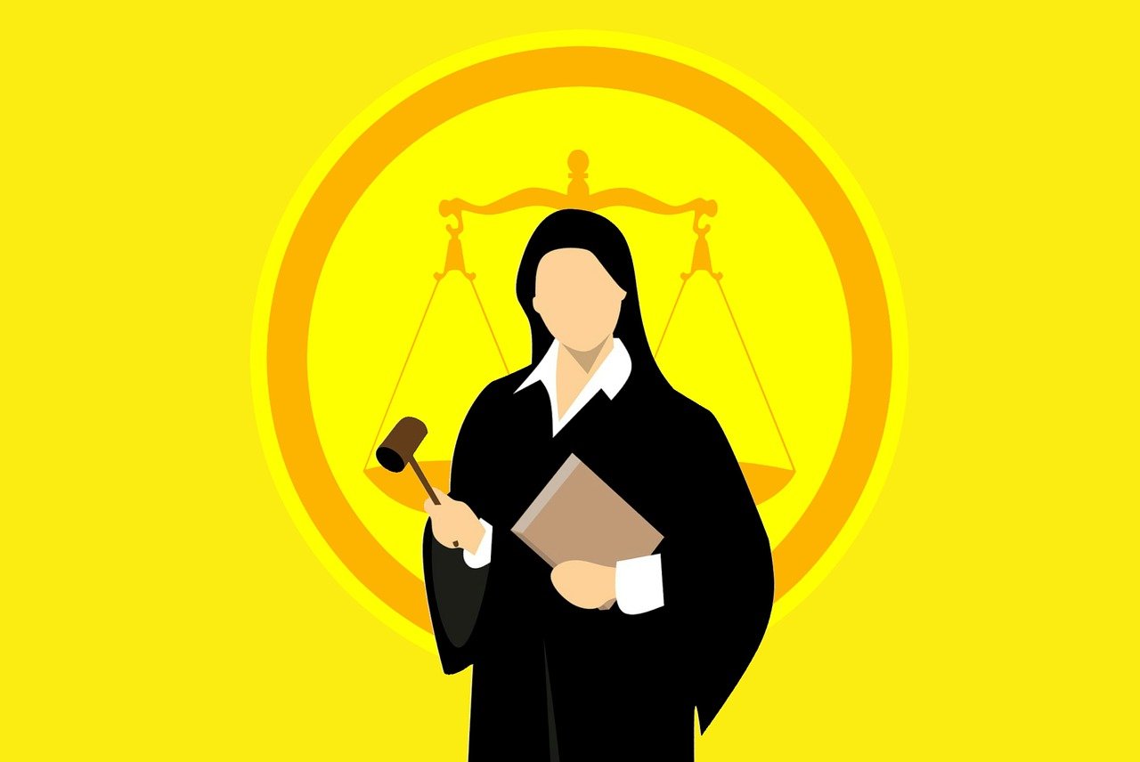 法院最新招聘信息，揭示司法体系发展的最新动态与机遇